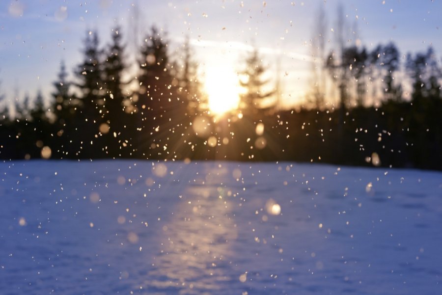 Genuss braucht keine Pralinés