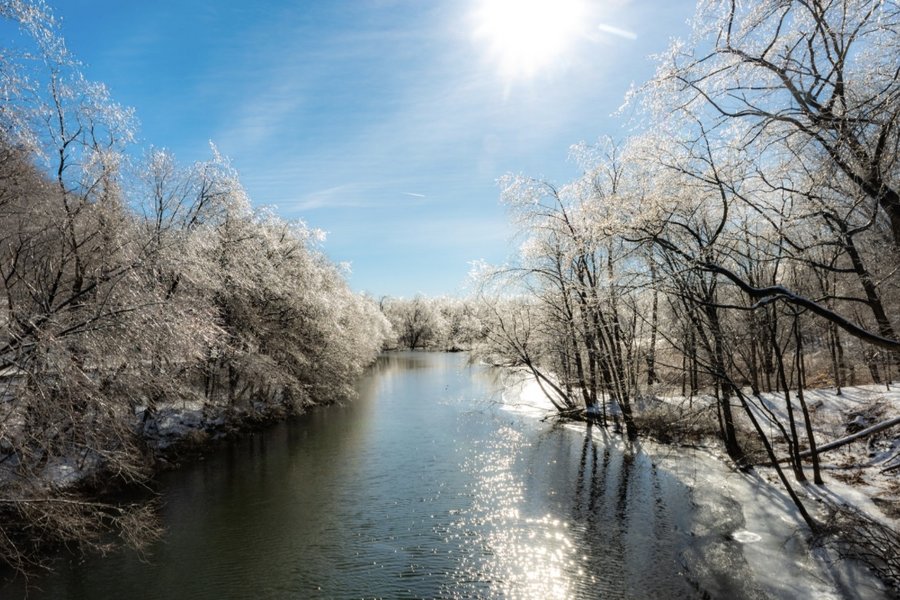 Die Zukunft buchstabieren: Eine Reise mit dem Eichhörnchen
