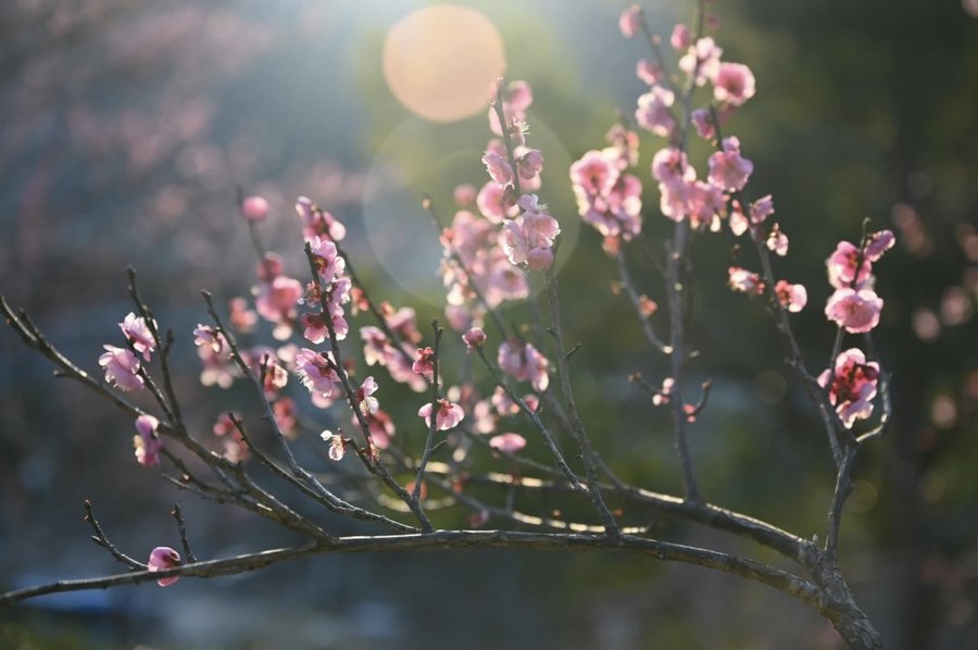Gesundheit ist keine Ziellinie – sie ist ein Tanz